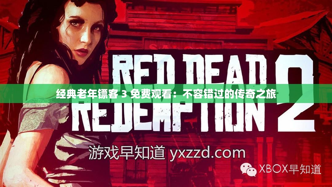 经典老年镖客 3 免费观看：不容错过的传奇之旅