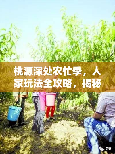 桃源深处农忙季，人家玩法全攻略，揭秘高效耕耘与收获秘诀