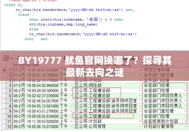 BY19777 鱿鱼官网换哪了？探寻其最新去向之谜
