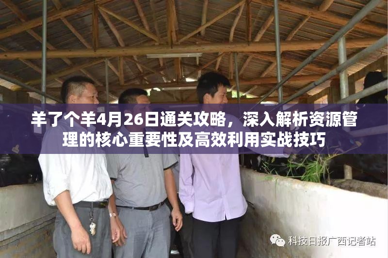 羊了个羊4月26日通关攻略，深入解析资源管理的核心重要性及高效利用实战技巧