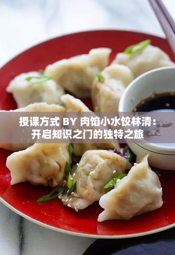 授课方式 BY 肉馅小水饺林清：开启知识之门的独特之旅