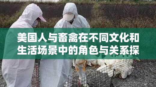 美国人与畜禽在不同文化和生活场景中的角色与关系探讨