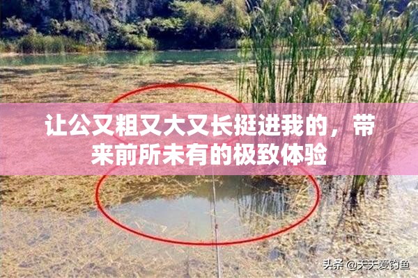 让公又粗又大又长挺进我的，带来前所未有的极致体验