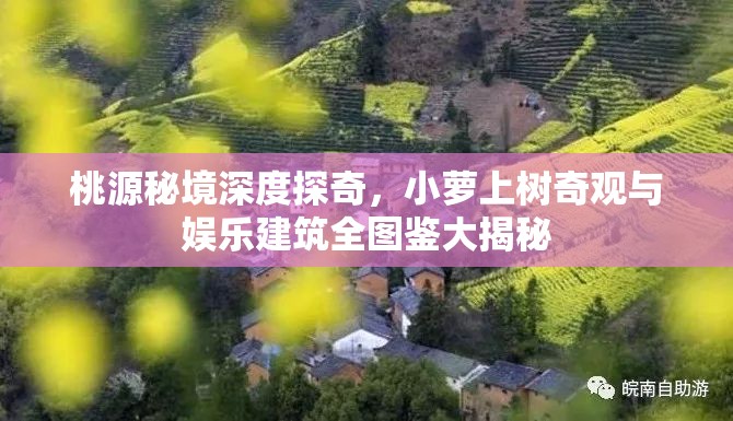 桃源秘境深度探奇，小萝上树奇观与娱乐建筑全图鉴大揭秘