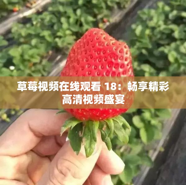 草莓视频在线观看 18：畅享精彩高清视频盛宴