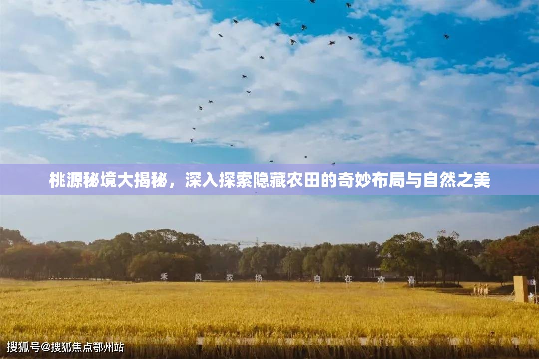 桃源秘境大揭秘，深入探索隐藏农田的奇妙布局与自然之美