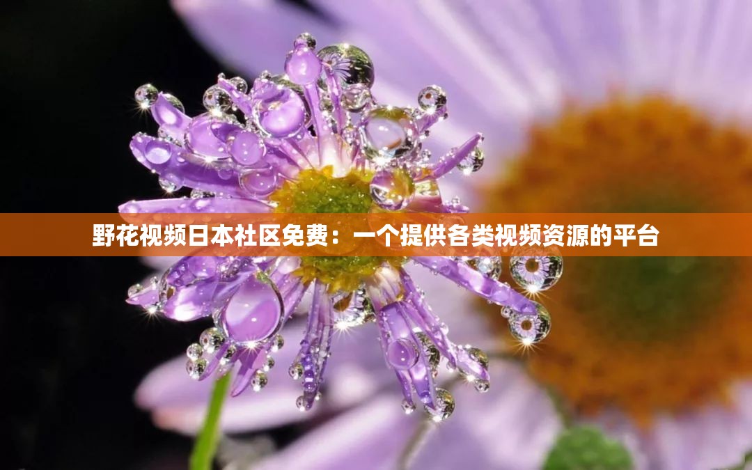 野花视频日本社区免费：一个提供各类视频资源的平台