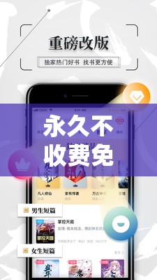 永久不收费免费社交软件：畅享无门槛社交新体验
