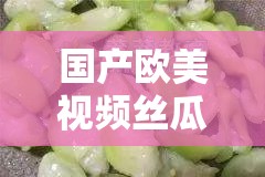 国产欧美视频丝瓜之精彩呈现与独特魅力