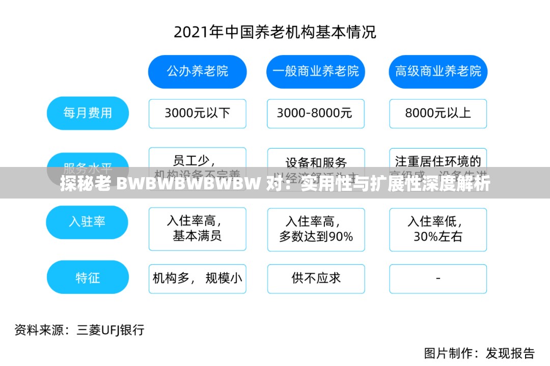 探秘老 BWBWBWBWBW 对：实用性与扩展性深度解析