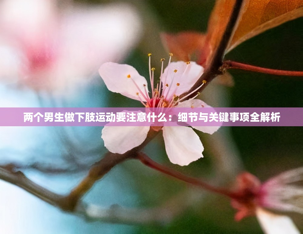 两个男生做下肢运动要注意什么：细节与关键事项全解析