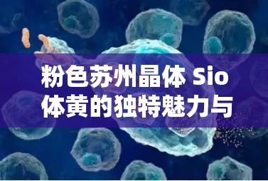 粉色苏州晶体 Sio 体黄的独特魅力与价值探讨