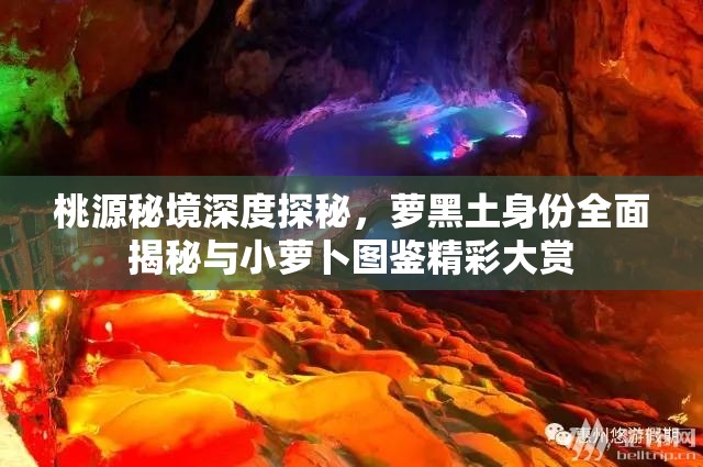 桃源秘境深度探秘，萝黑土身份全面揭秘与小萝卜图鉴精彩大赏