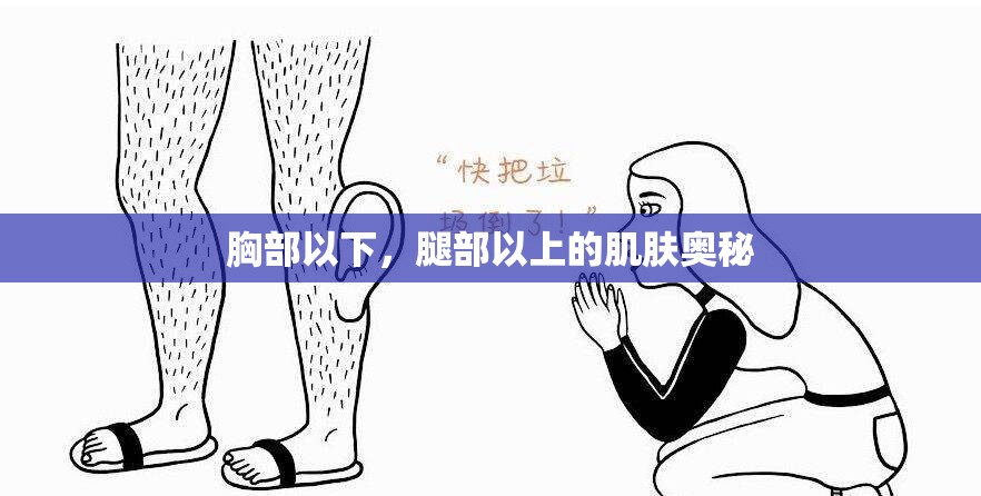 胸部以下，腿部以上的肌肤奥秘