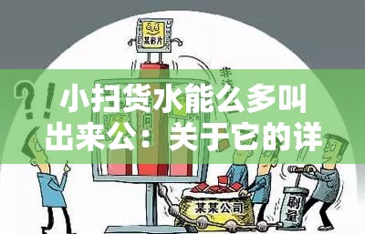 小扫货水能么多叫出来公：关于它的详细介绍与分析