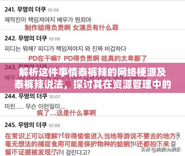 解析这件事情泰裤辣的网络梗源及泰裤辣说法，探讨其在资源管理中的重要性及应用策略