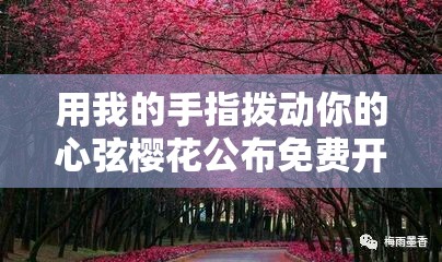 用我的手指拨动你的心弦樱花公布免费开放时段：与你共度美好时光
