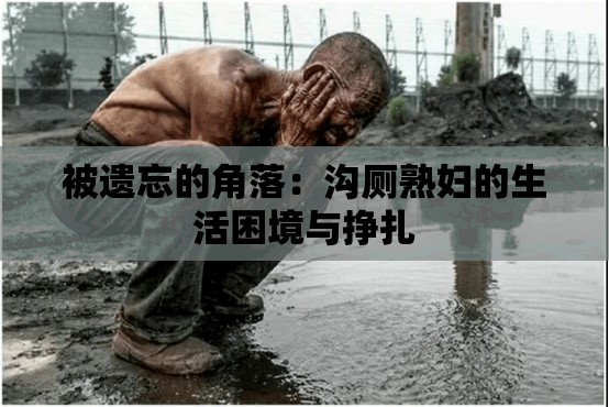被遗忘的角落：沟厕熟妇的生活困境与挣扎