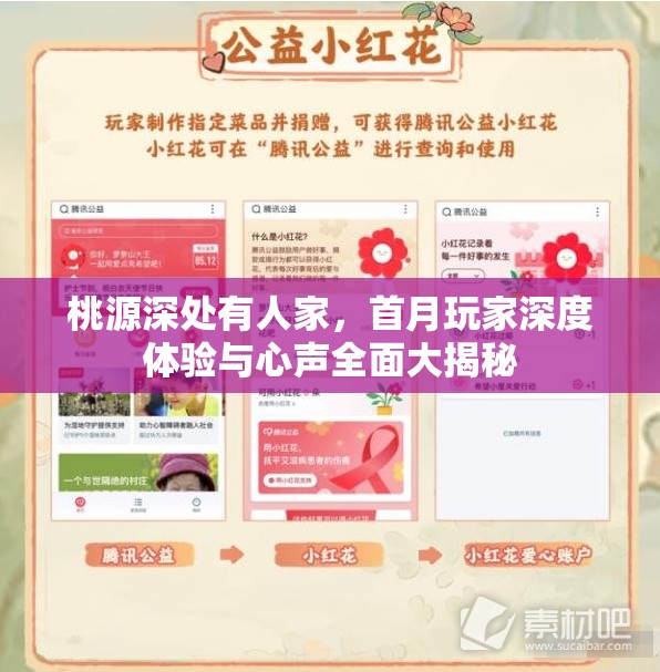 桃源深处有人家，首月玩家深度体验与心声全面大揭秘