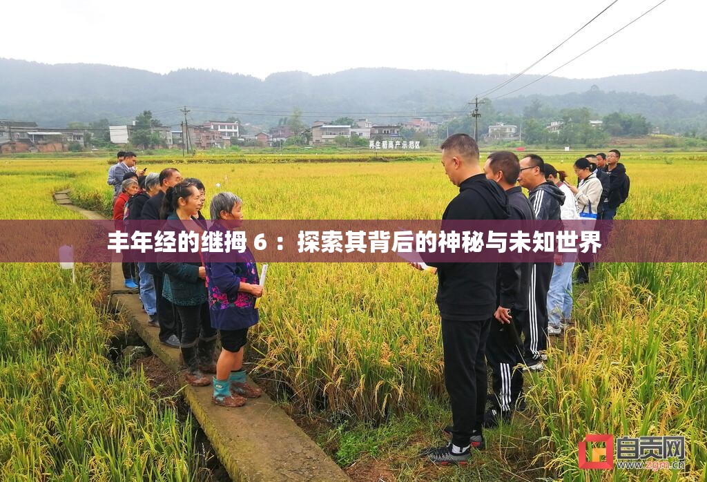 丰年经的继拇 6 ：探索其背后的神秘与未知世界
