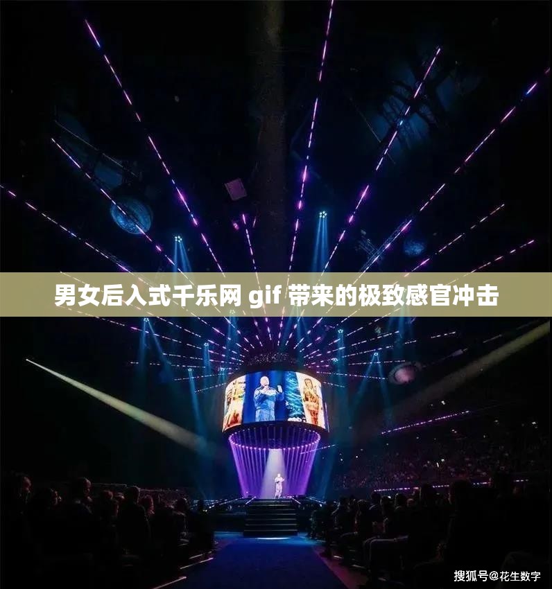 男女后入式千乐网 gif 带来的极致感官冲击