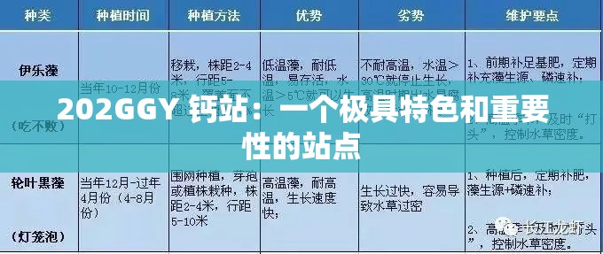 202GGY 钙站：一个极具特色和重要性的站点