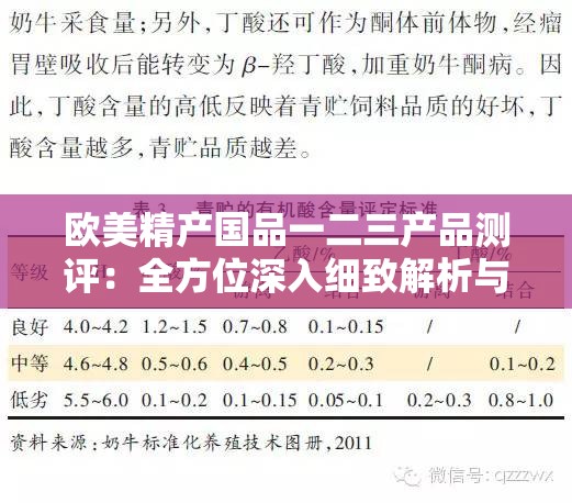 欧美精产国品一二三产品测评：全方位深入细致解析与评估