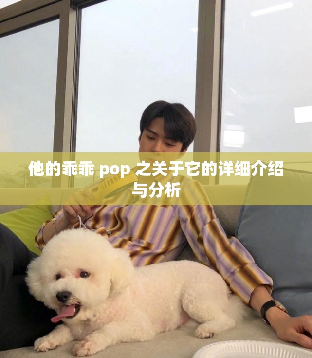 他的乖乖 pop 之关于它的详细介绍与分析
