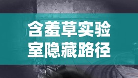 含羞草实验室隐藏路径 2024：探索未知的科学秘境