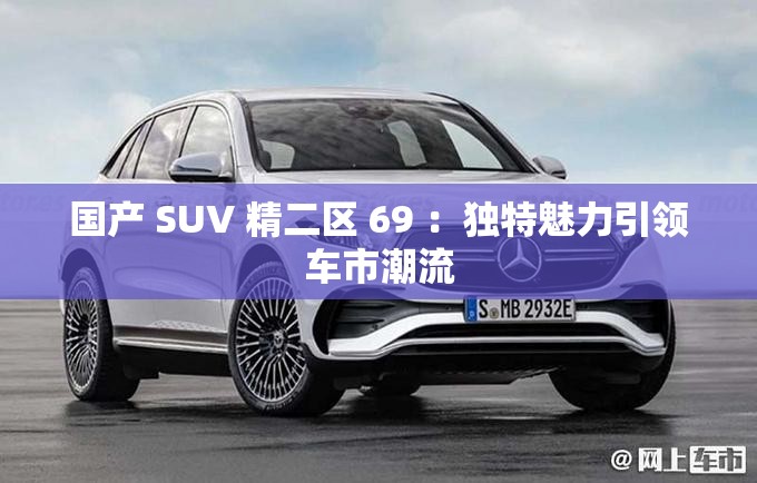 国产 SUV 精二区 69 ：独特魅力引领车市潮流