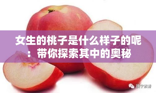 女生的桃子是什么样子的呢：带你探索其中的奥秘