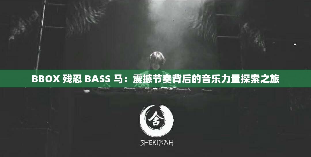 BBOX 残忍 BASS 马：震撼节奏背后的音乐力量探索之旅