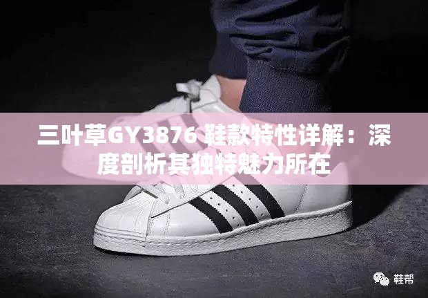 三叶草GY3876 鞋款特性详解：深度剖析其独特魅力所在
