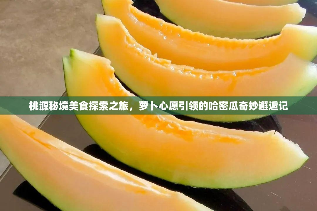 桃源秘境美食探索之旅，萝卜心愿引领的哈密瓜奇妙邂逅记