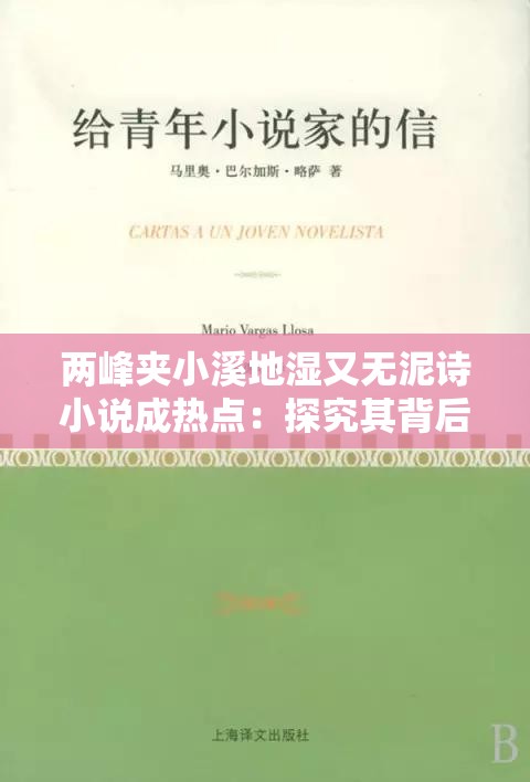 两峰夹小溪地湿又无泥诗小说成热点：探究其背后的魅力与价值