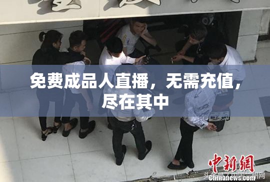 免费成品人直播，无需充值，尽在其中