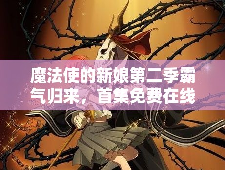 魔法使的新娘第二季霸气归来，首集免费在线观看全攻略解析