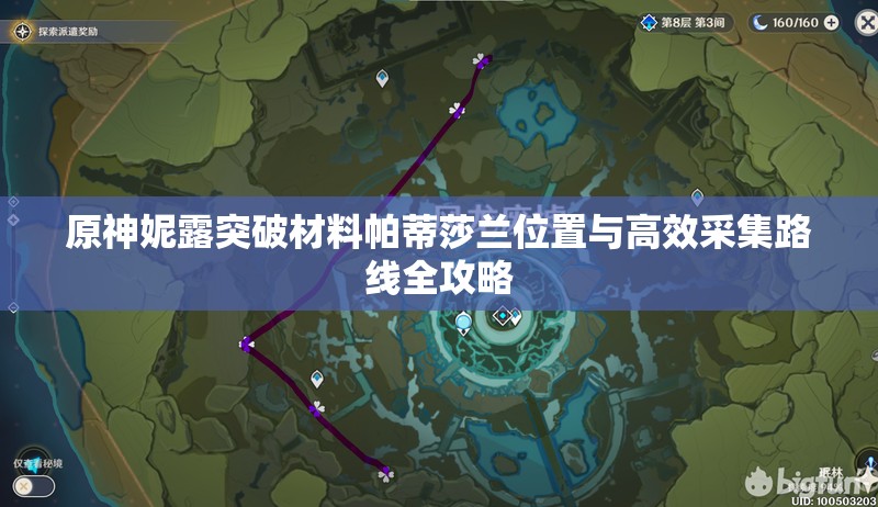 原神妮露突破材料帕蒂莎兰位置与高效采集路线全攻略