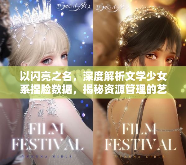 以闪亮之名，深度解析文学少女系捏脸数据，揭秘资源管理的艺术之道