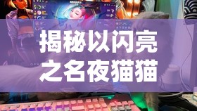 揭秘以闪亮之名夜猫猫出没规律，探索游戏世界，解锁独特神秘菜谱秘籍