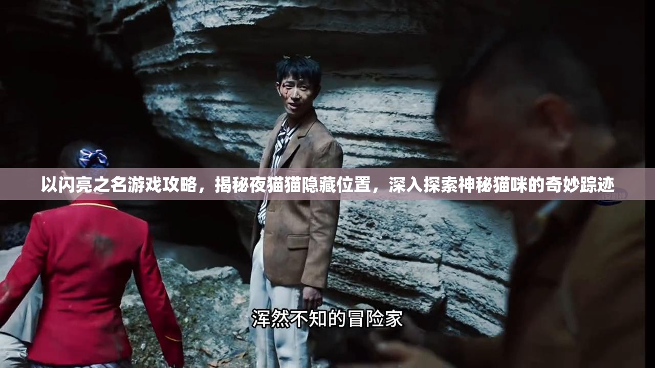 以闪亮之名游戏攻略，揭秘夜猫猫隐藏位置，深入探索神秘猫咪的奇妙踪迹