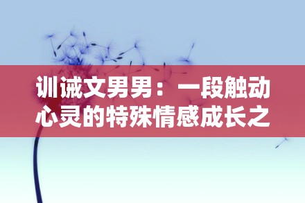 训诫文男男：一段触动心灵的特殊情感成长之旅