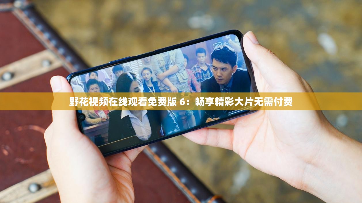 野花视频在线观看免费版 6：畅享精彩大片无需付费
