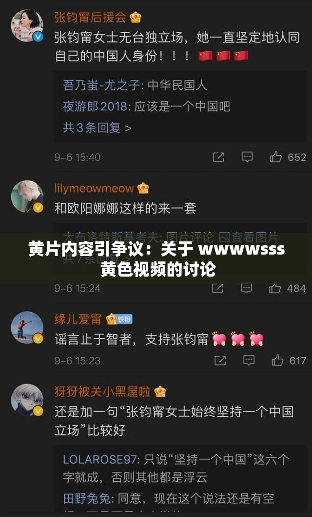 黄片内容引争议：关于 wwwwsss 黄色视频的讨论