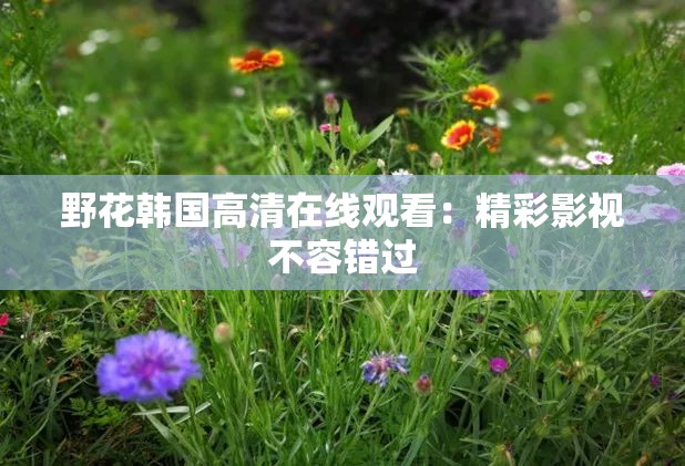 野花韩国高清在线观看：精彩影视不容错过