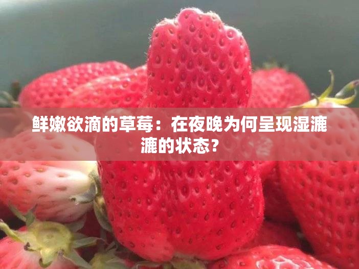 鲜嫩欲滴的草莓：在夜晚为何呈现湿漉漉的状态？