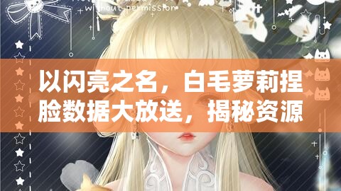 以闪亮之名，白毛萝莉捏脸数据大放送，揭秘资源管理高效利用的黄金策略