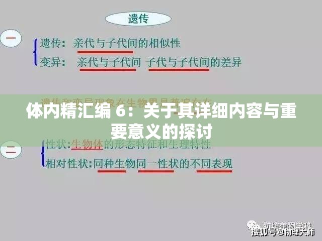 体内精汇编 6：关于其详细内容与重要意义的探讨