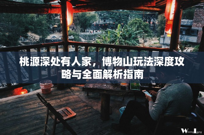 桃源深处有人家，博物山玩法深度攻略与全面解析指南