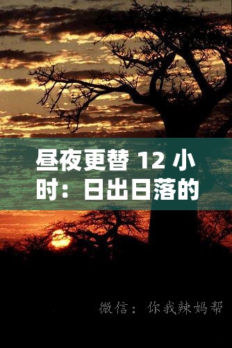 昼夜更替 12 小时：日出日落的循环之美